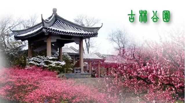 <b>【南京三門灣電器】周日4.24古林公園賞牡丹花、</b>